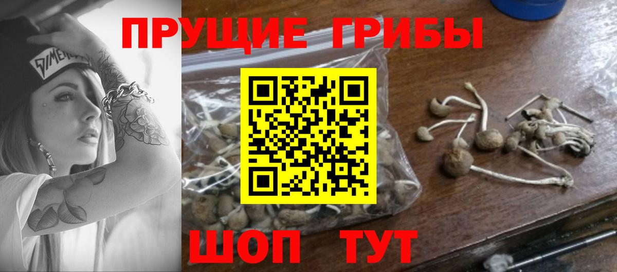 даркнет сайт  Вход с VPN  Нягань  Галлюциногенные грибы Psilocybe 